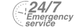 24/7 Emergency Service Pest Control in Poplar, Isle of Dogs, Millwall, E14. Call Now! 020 8166 9746