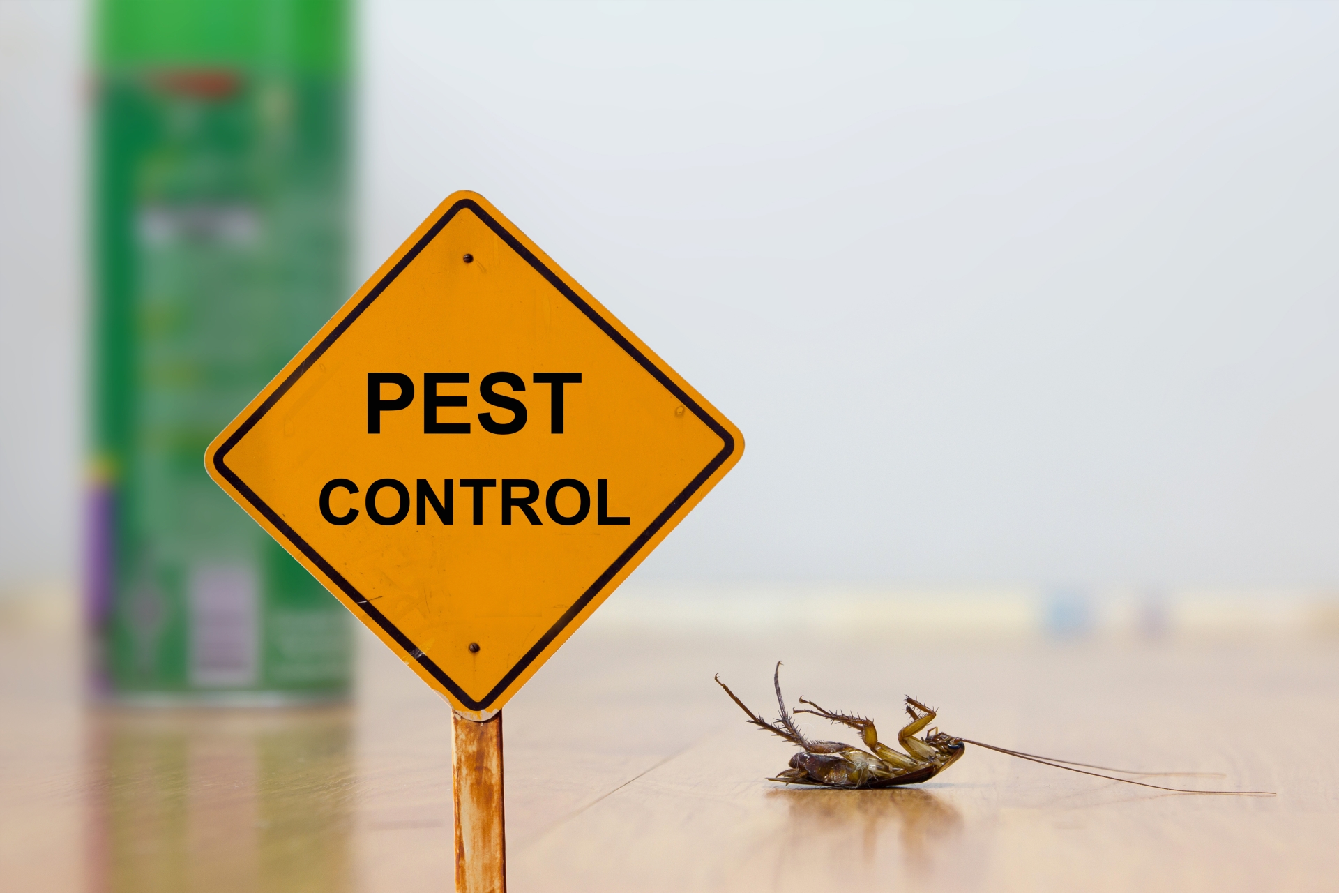 24 Hour Pest Control, Pest Control in Poplar, Isle of Dogs, Millwall, E14. Call Now 020 8166 9746